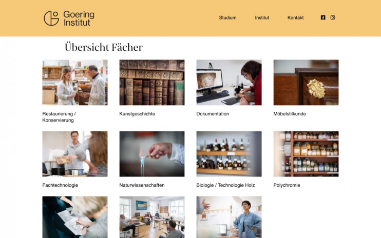 desktop screenshot goeringinstitut.de
